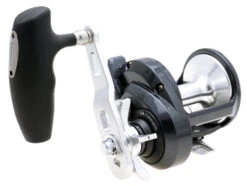 Shimano Torium Star Drag Conventional Reels 13 Shimano Torium Star Drag Conventional Reels -Shimano 39267241721945