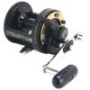 Shimano TLD Triton 1-Speed Lever Drag Conventional Reels 2 Shimano TLD Triton 1-Speed Lever Drag Conventional Reels -Shimano 39356718219353