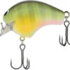 Shimano Macbeth 50F Hybrid Square Bill Crankbait 1 Shimano Macbeth 50F Hybrid Square Bill Crankbait -Shimano 40094938038361