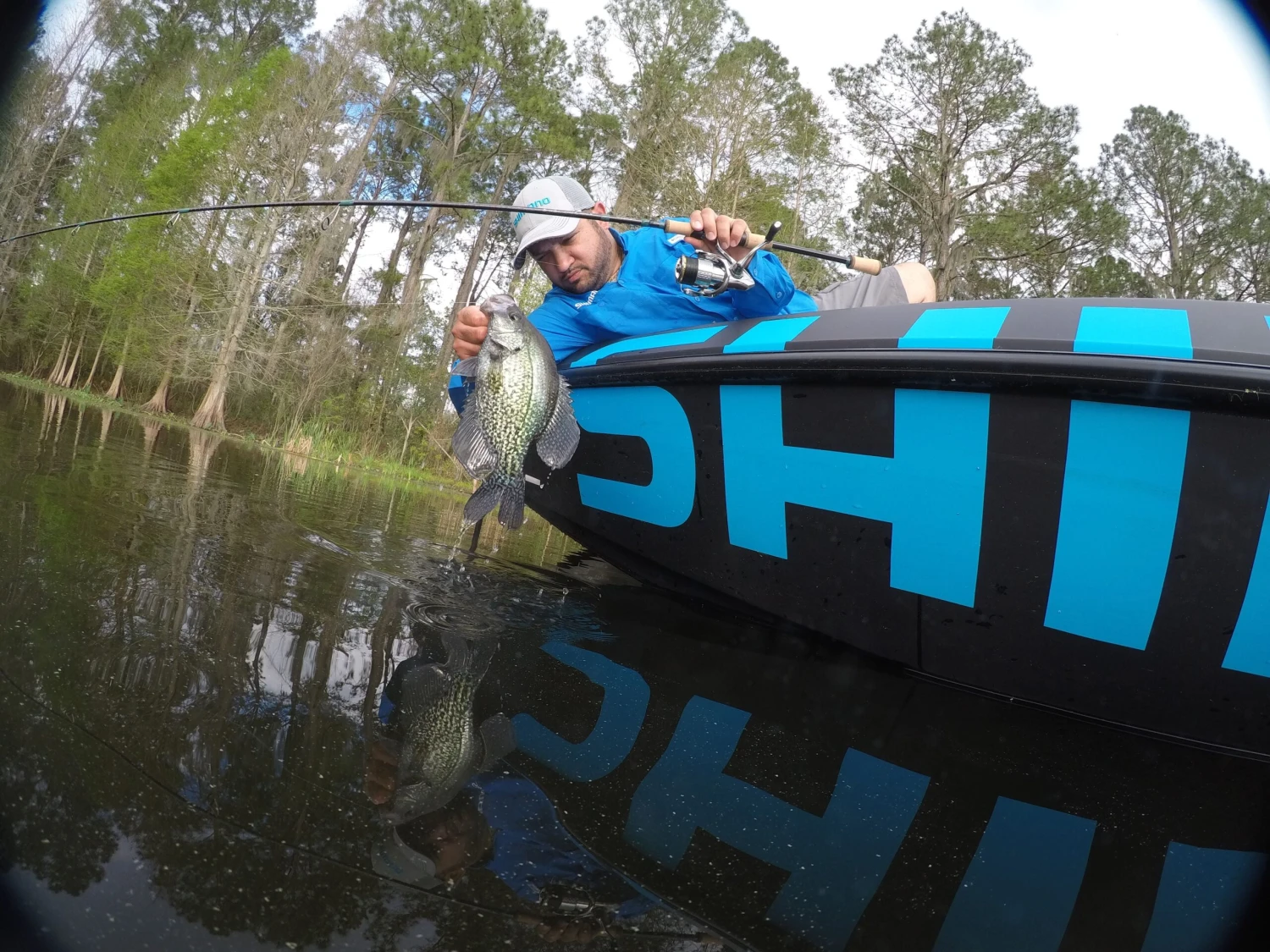 Shimano Stella FJ Spinning Reels 9 Shimano Stella FJ Spinning Reels - Image 7