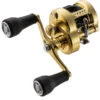 Shimano Calcutta Conquest MD Baitcasting Reels 2 Shimano Calcutta Conquest MD Baitcasting Reels -Shimano shimano calcutta conquest md baitcasting reels 10126.1674255439