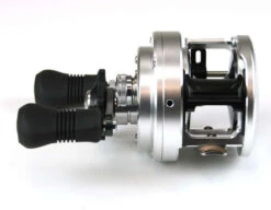 Shimano CT301D L/H Calcutta Reel 7 Shimano CT301D L/H Calcutta Reel -Shimano shimano calcutta d ct301d 98642.1650937052