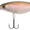 Shimano Enber 60SP Jerkbait -Shimano shimano enber 60sp jerkbait 37814.1678982050