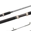 Shimano FX Series Spinning Rods