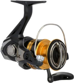 Shimano Sahara FJ Spinning Reels -Shimano shimano sahara fj spinning reels 63926.1651444120