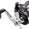 Shimano Tekota Levelwind Conventional Reels -Shimano shimano tekota levelwind reels 21217.1651006805