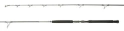 Shimano Terez BW BFC Spinning Rods