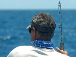 Shimano Terez Spinning Rods -Shimano shimano terez spinning fishing rods 44313.1651006832