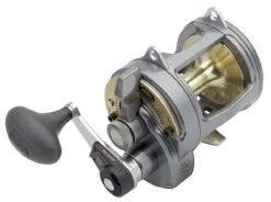 Shimano Tyrnos 2-Speed Reels