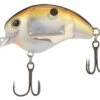 Shimano World Rush Square Bill Crankbait -Shimano shimano world rush square bill crankbait 05009.1678982279