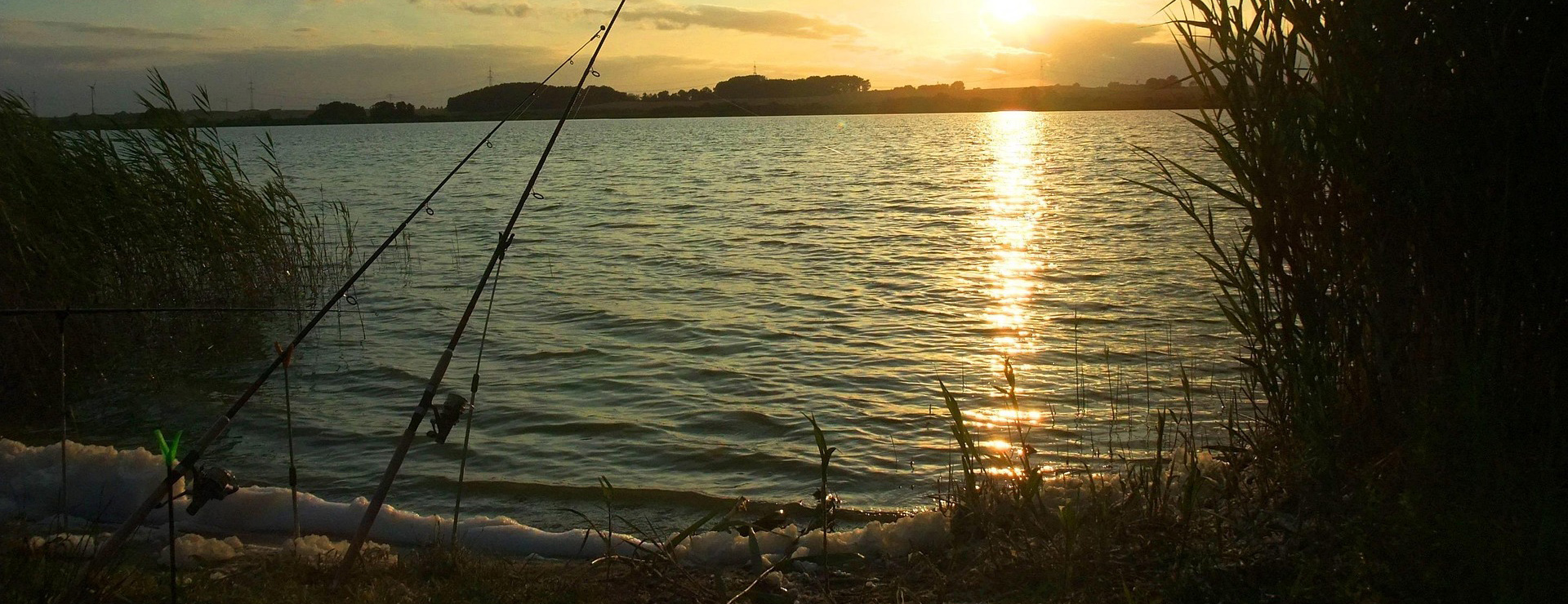 Front Page 2 Front Page -Shimano fishing 334973 1920